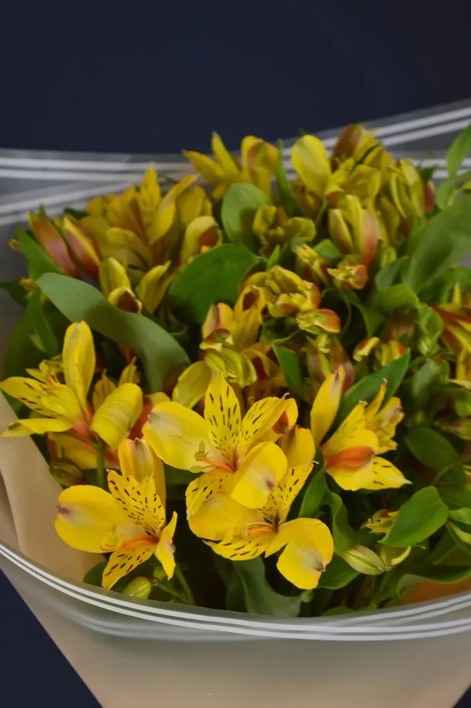 3 жёлтых альстромерии
