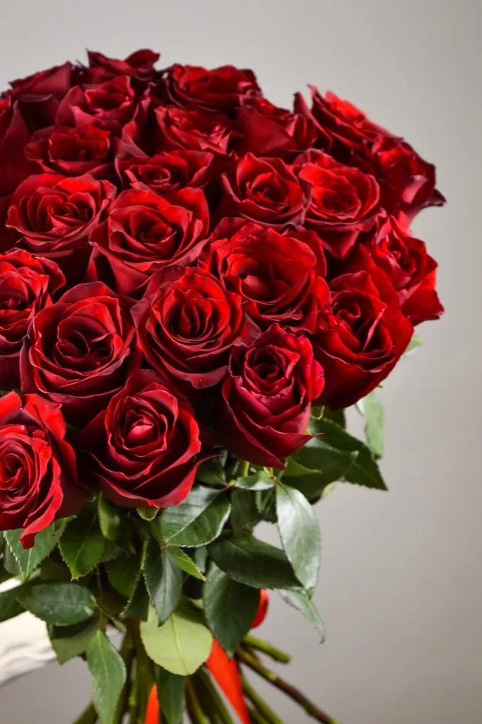 31 красная роза