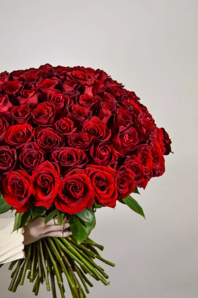 101 красная роза