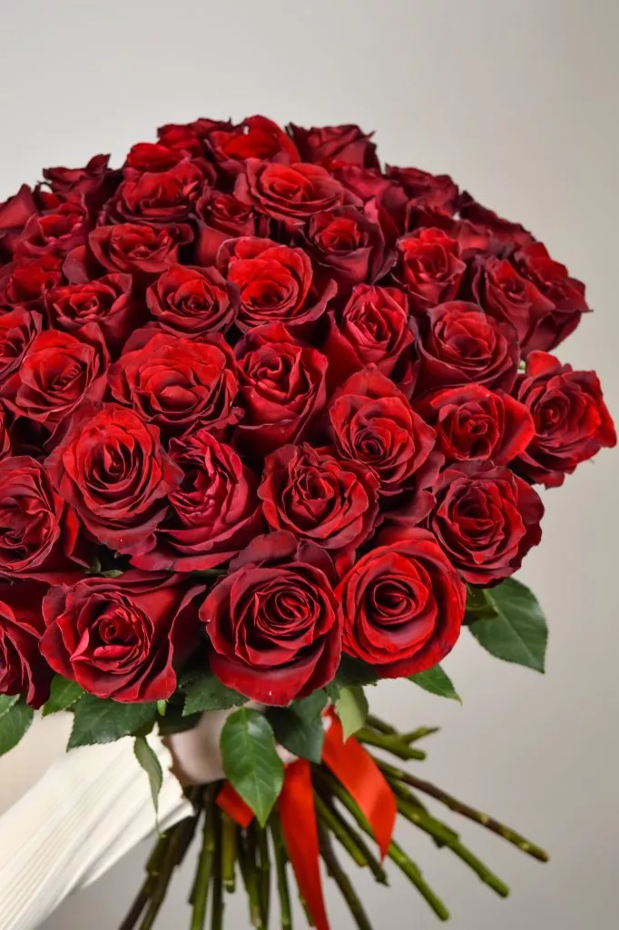 51 красная роза Эквадор