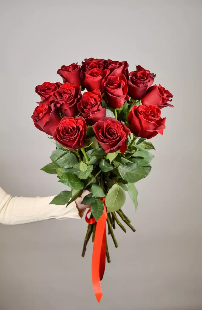 17 красных роз
