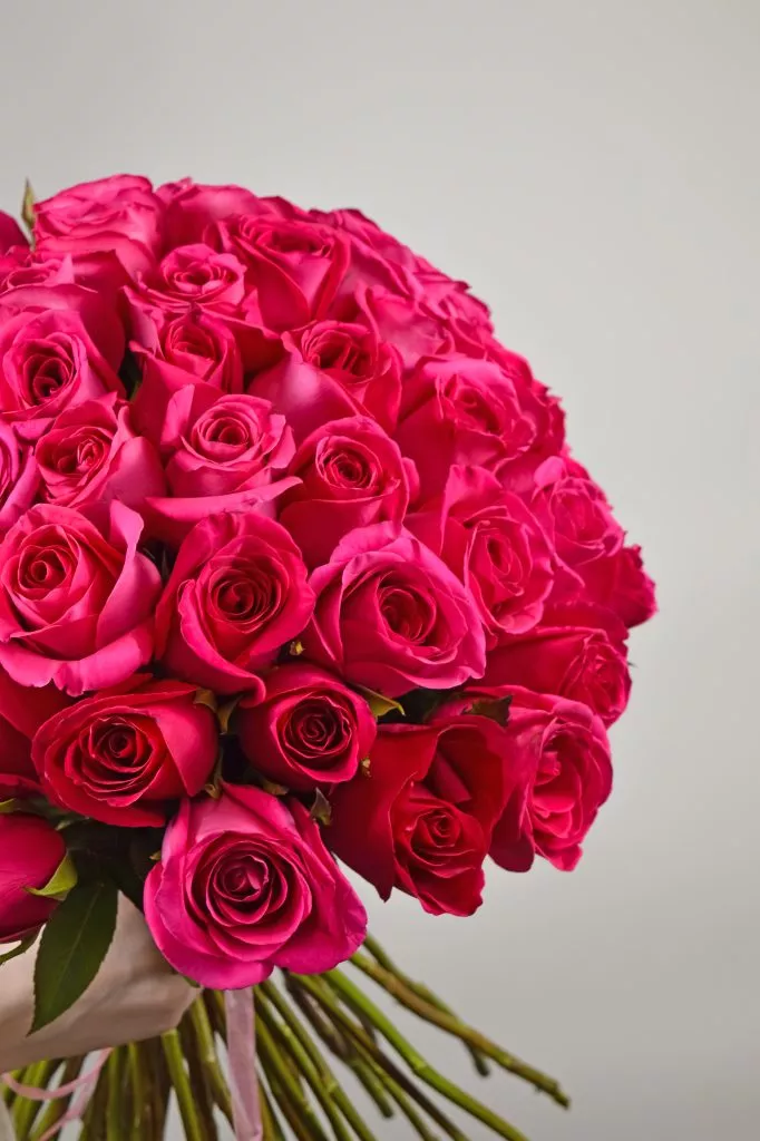 51 роза Пинк розовая