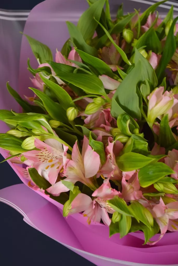 9 нежно-розовых альстромерий