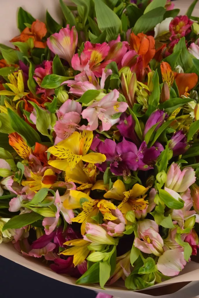 25 альстромерий микс