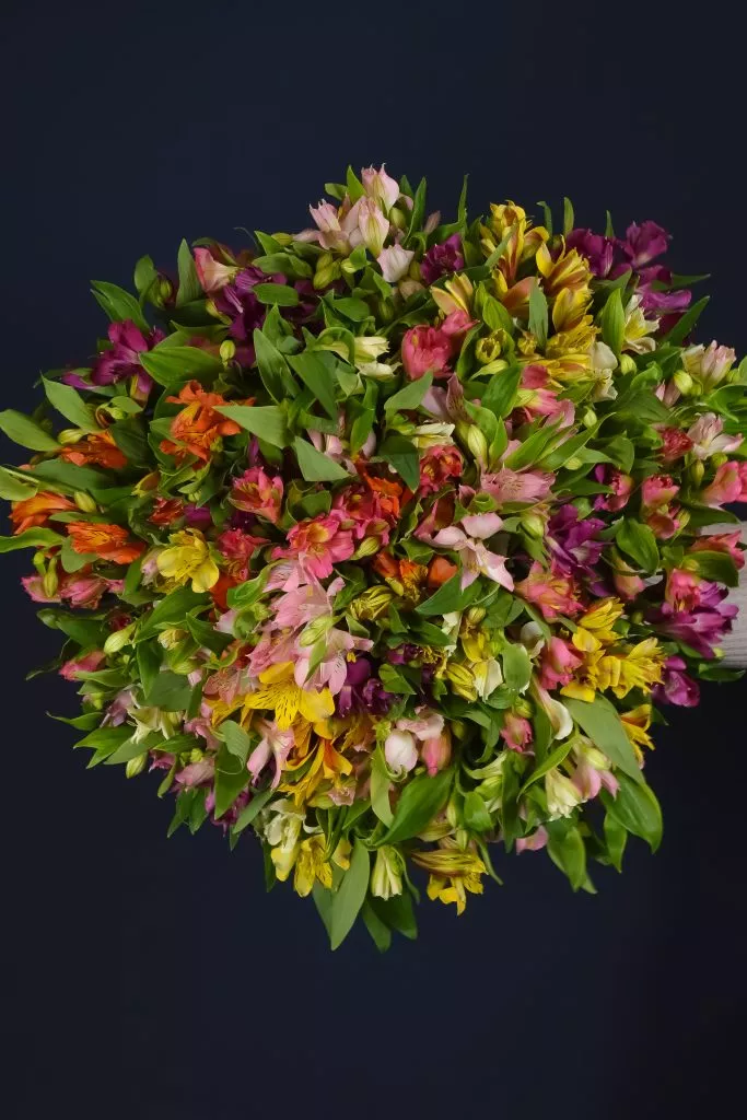 51 альстромерия микс