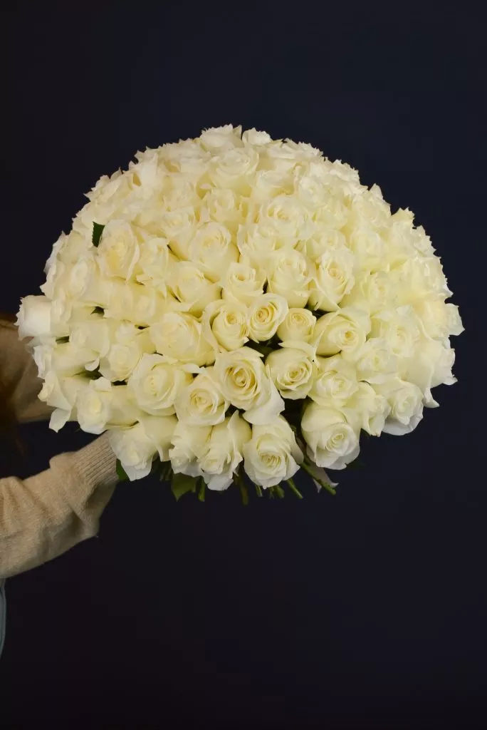 75 белых роз 40 см