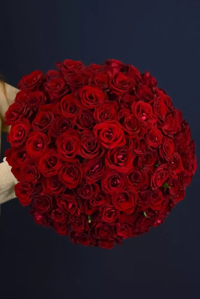 75 красных роз 40 см