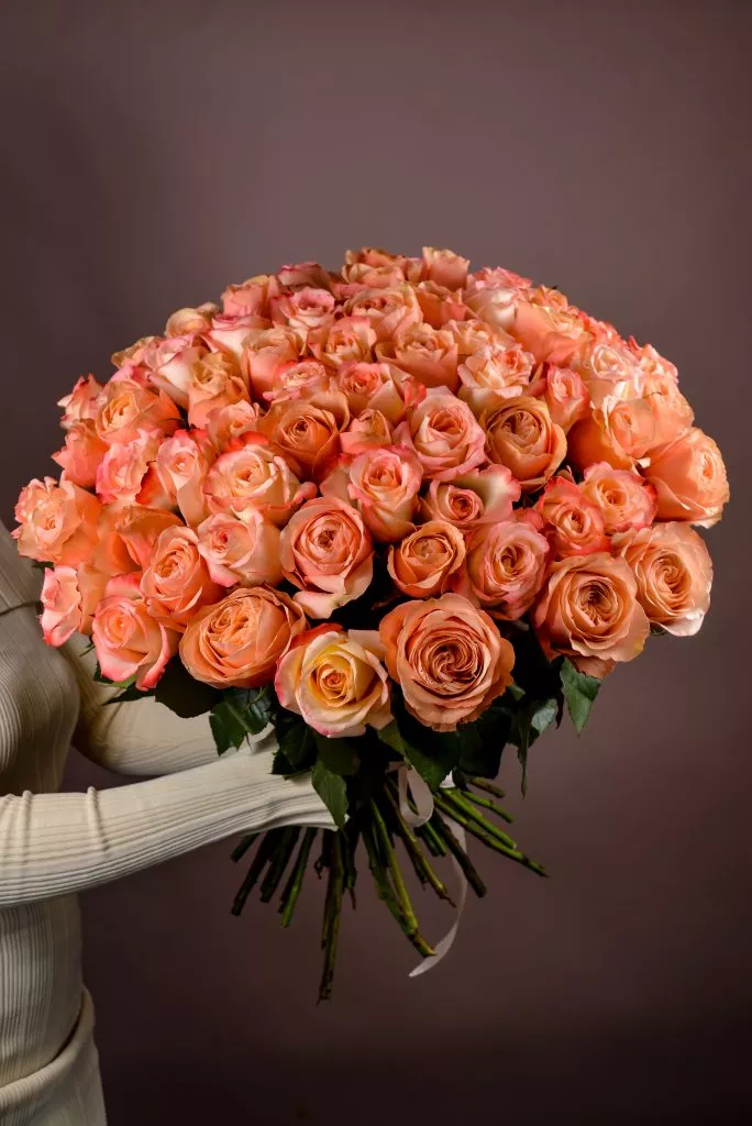 85 розовые розы Эквадор