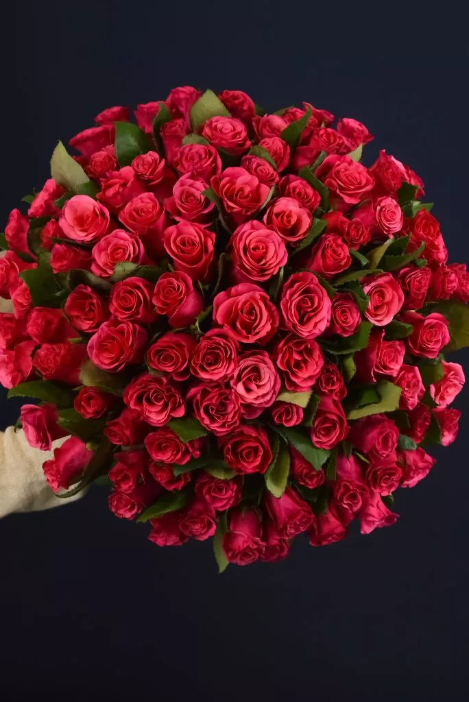 75 малиновых роз 40 см