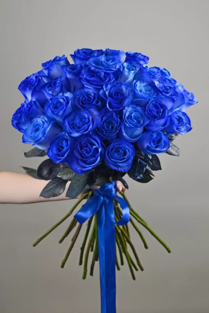 31 синяя розф Эквадор