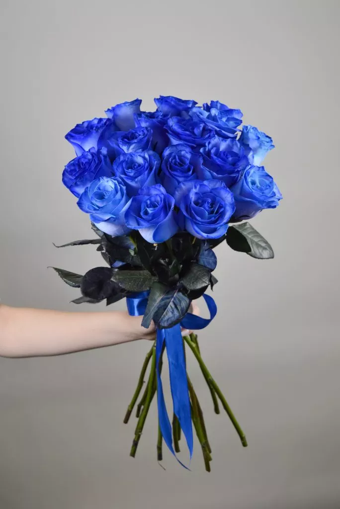 17 синих роз