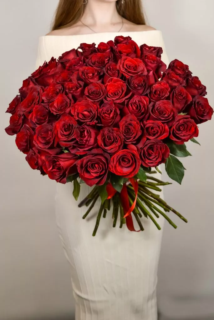 51 красная роза Эквадор