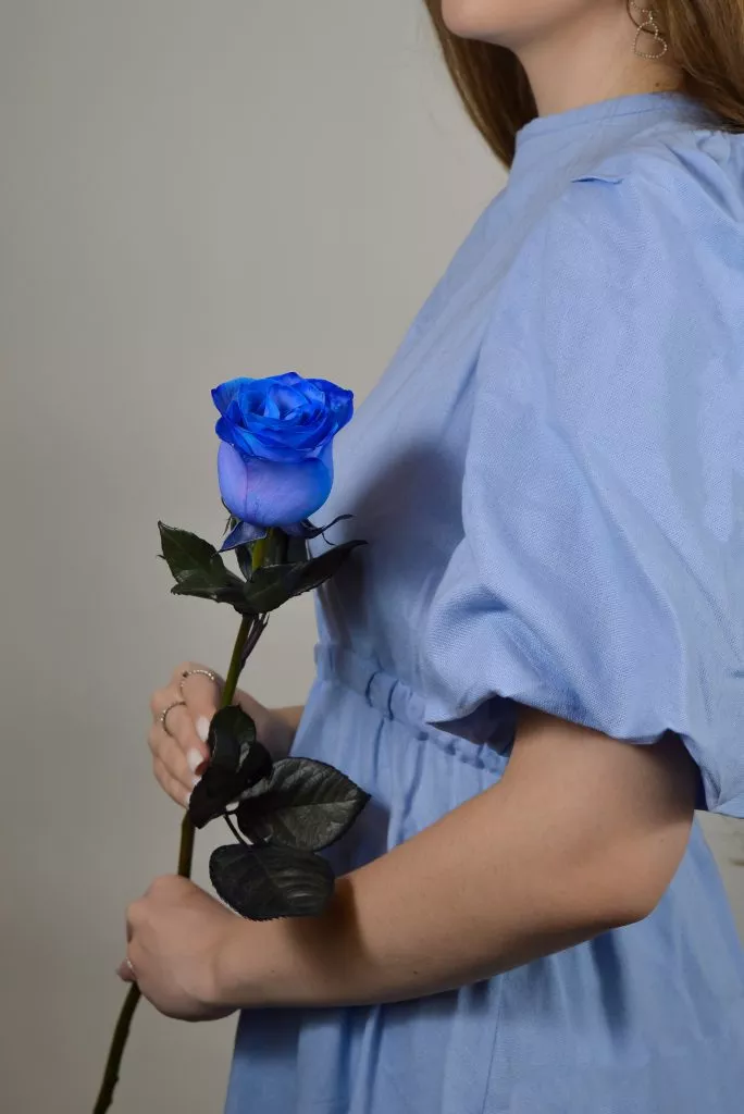 Синяя роза