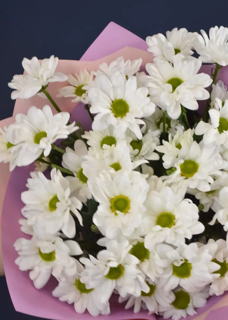 Букет хризантем