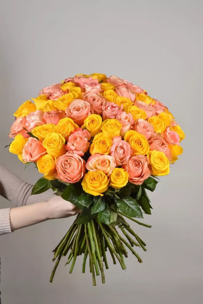 Розово-желтые розы Эквадор 75 шт
