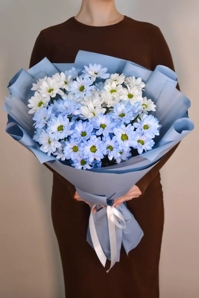 7 голубых хризантем кустовых