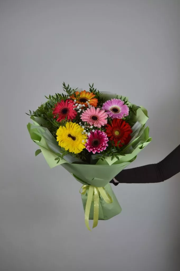 7 разноцветных гербер в зеленой упаковке