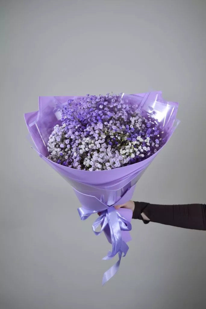 сиреневая гипсофила 7 шт