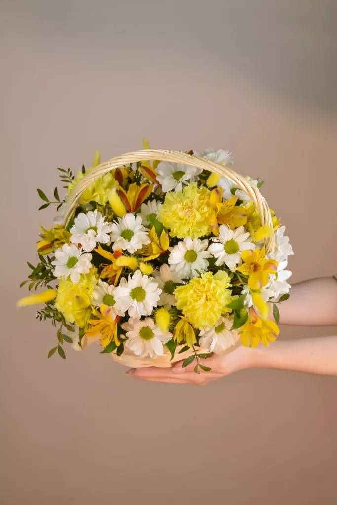 Корзина с гвоздикой, лагурусом, хризантемой кустовой, альстромерией, фисташкой