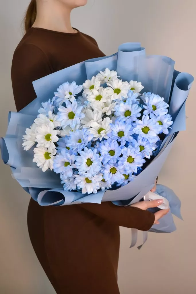 7 голубых хризантем кустовых