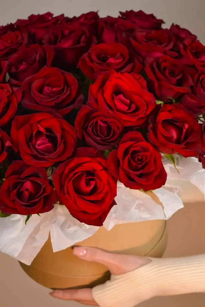 33 розы россия в коробке