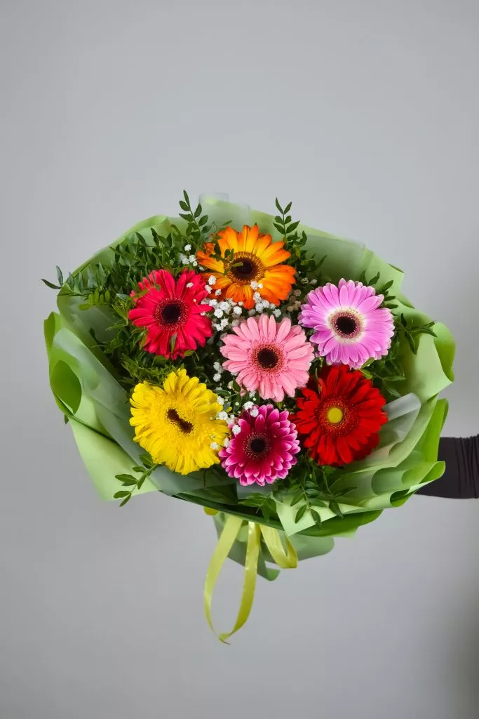 7 разноцветных гербер в зеленой упаковке