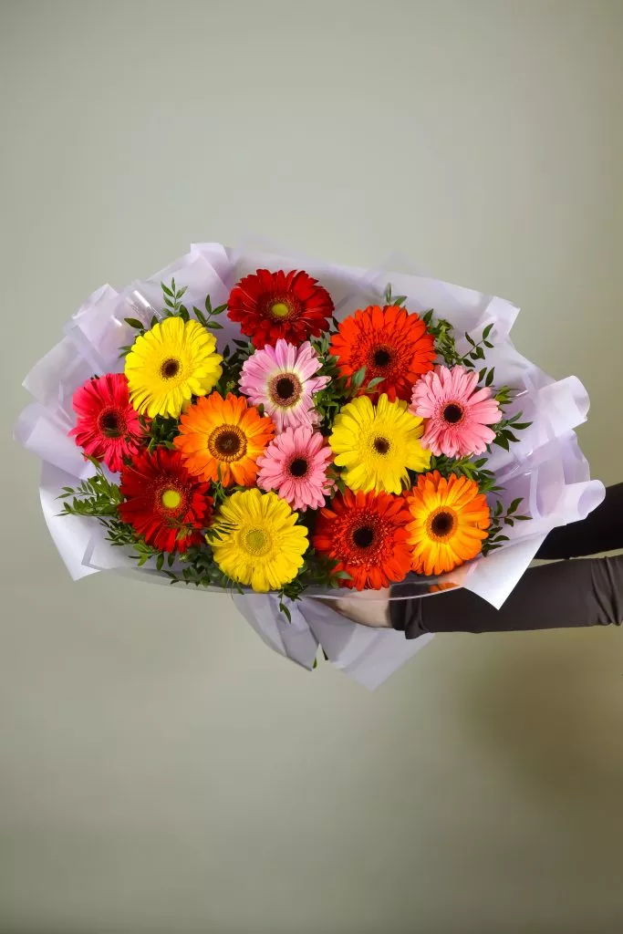 15 разноцветных гербер в сиреневой упаковке