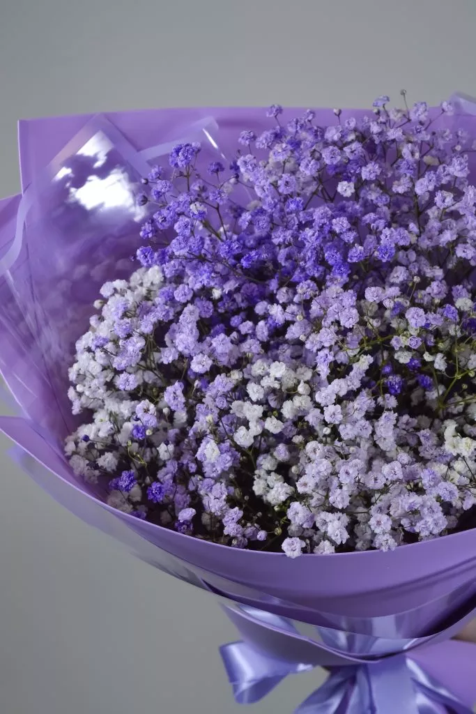 сиреневая гипсофила 7 шт