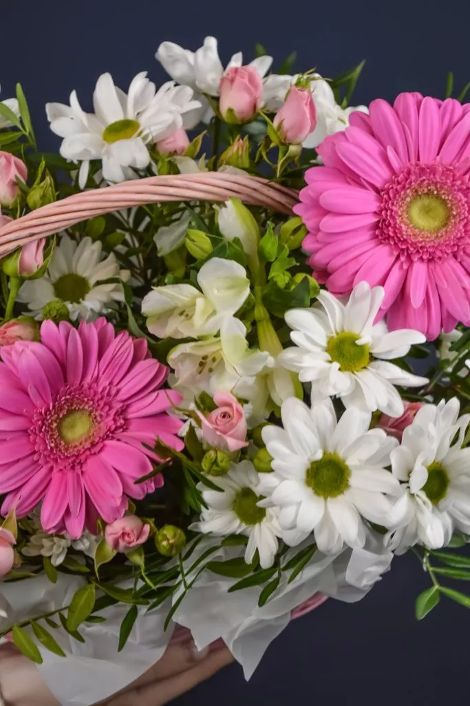 Корзина с кустовой хризантемой и розой, альстромериями, герберой и фисташкой