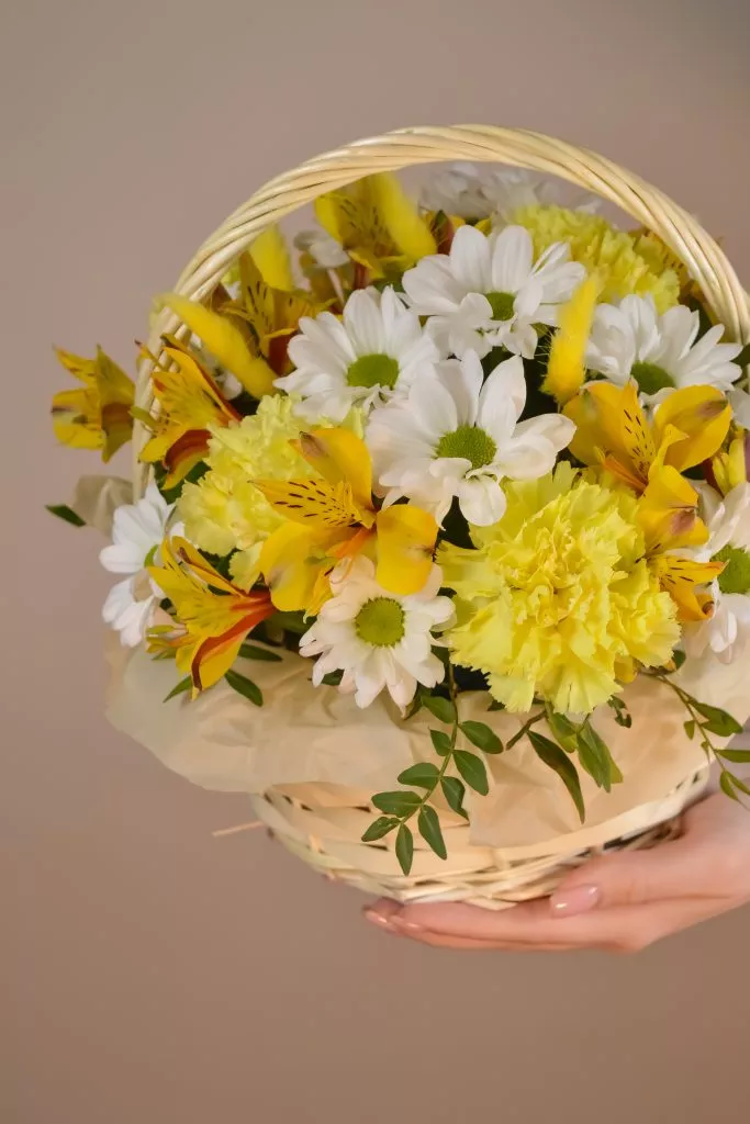 Корзина средняя с гвоздикой, лагурусом, хризантемой кустовой, альстромерией, фисташкой