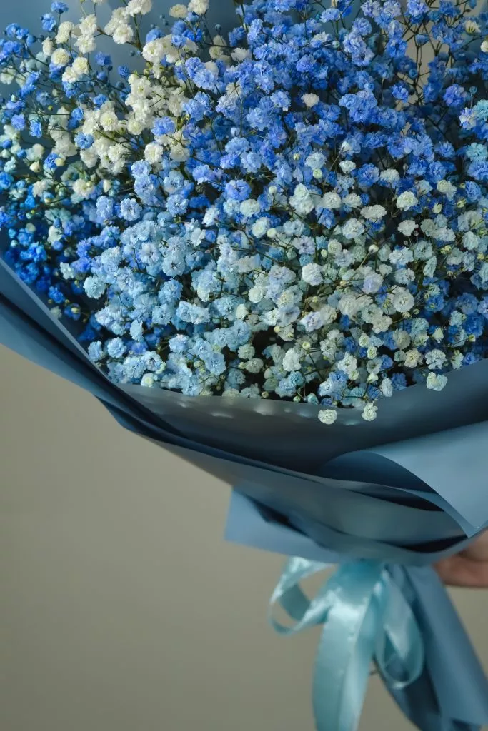 голубая гипсофила 5 шт