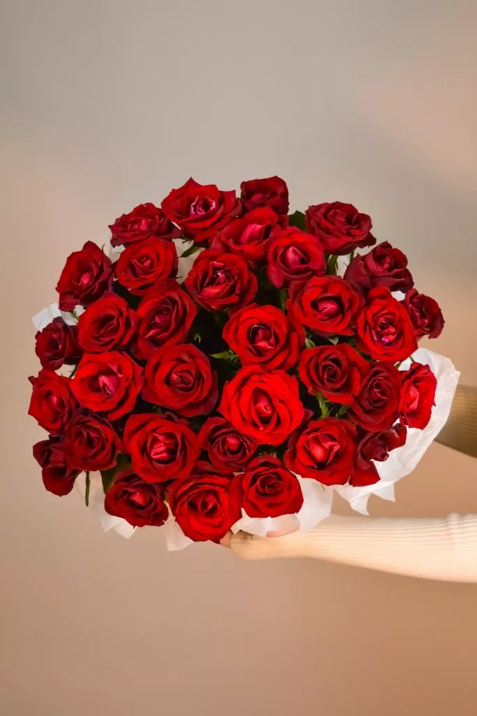 33 розы россия в коробке