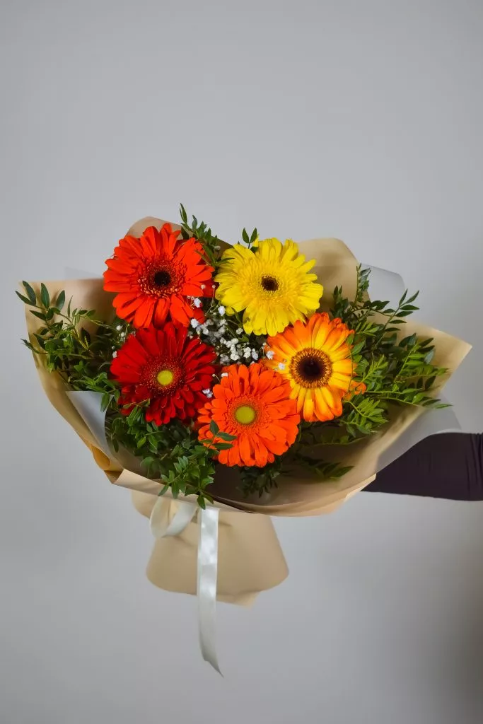 5 разноцветных гербер, 2 фисташки , бежевая упаковка