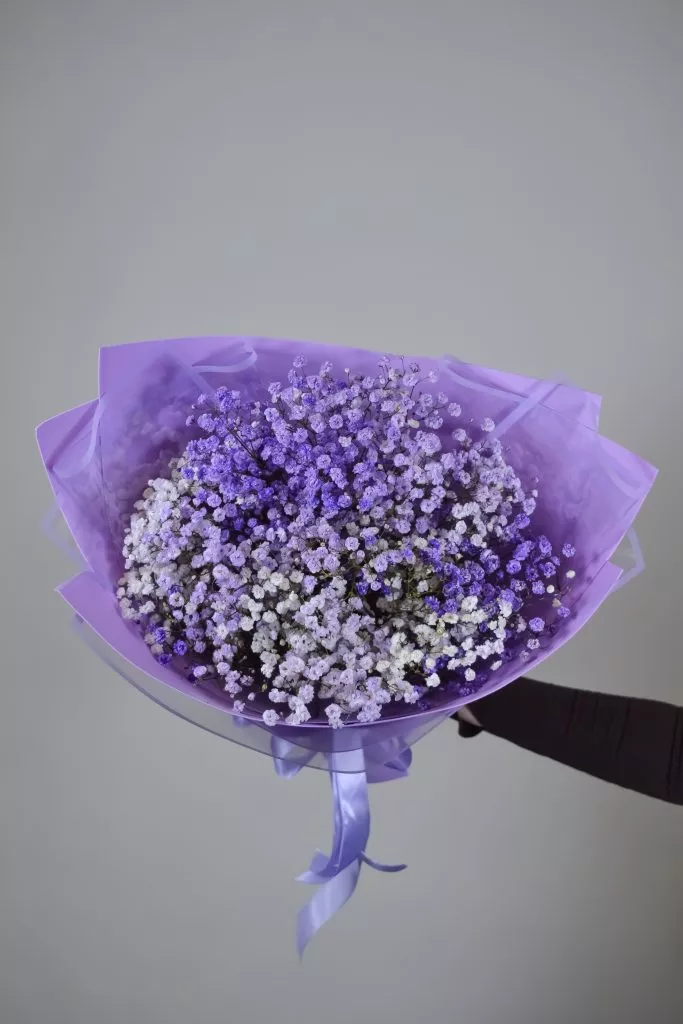 сиреневая гипсофила 7 шт