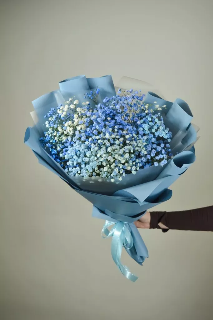 голубая гипсофила 5 шт