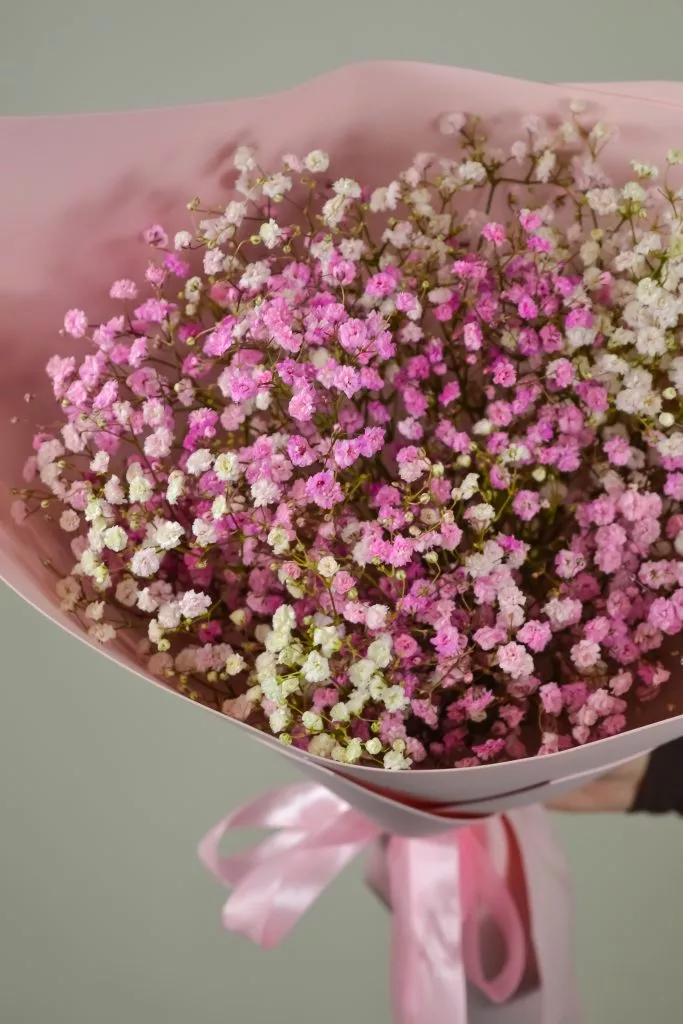 розовая гипсофила 7 шт