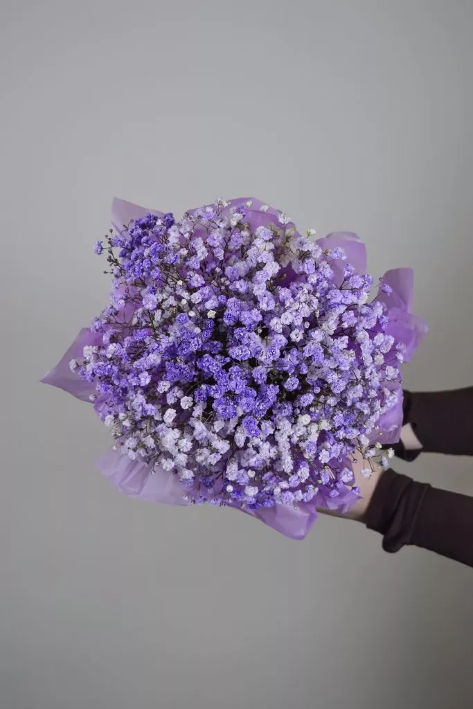 Коробка сиреневых гипсофил