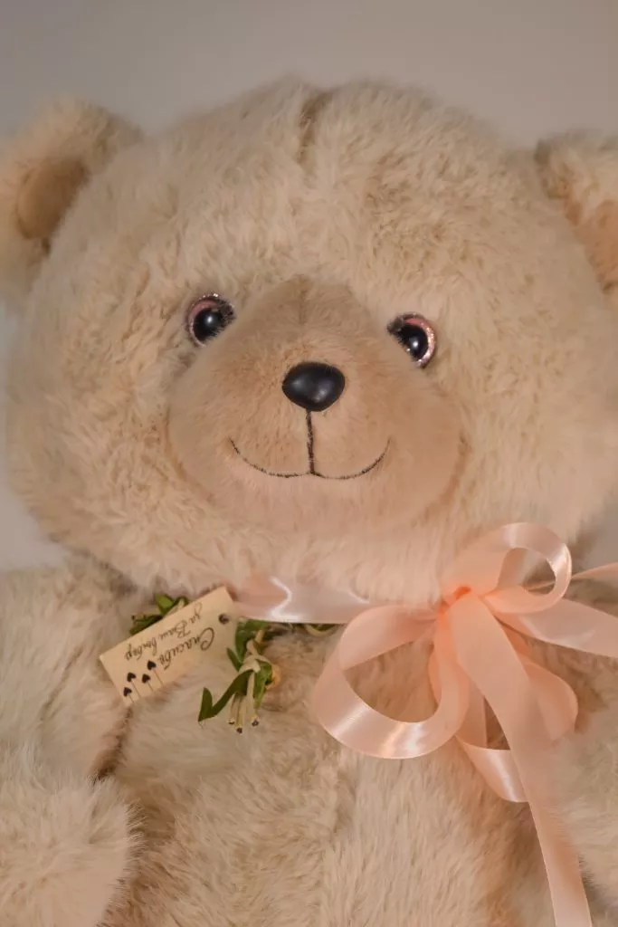 мягкая игрушка