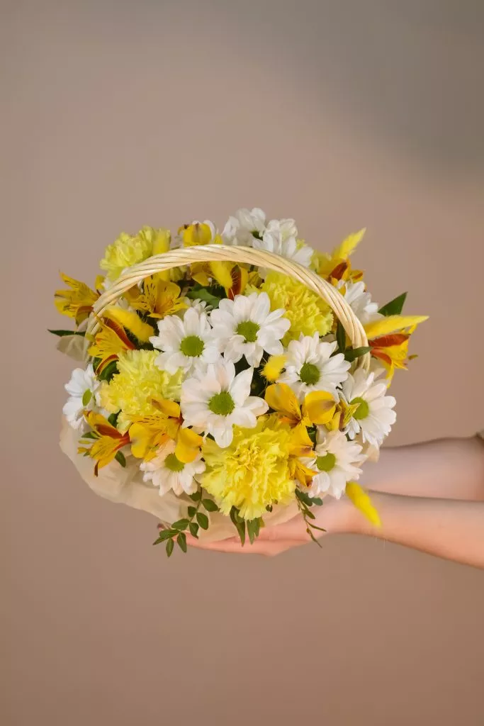 Корзина средняя с гвоздикой, лагурусом, хризантемой кустовой, альстромерией, фисташкой