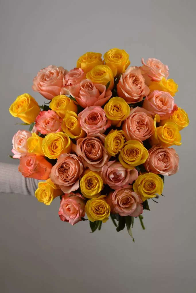 Микс розово-жёлтых роз Эквадор 35 шт
