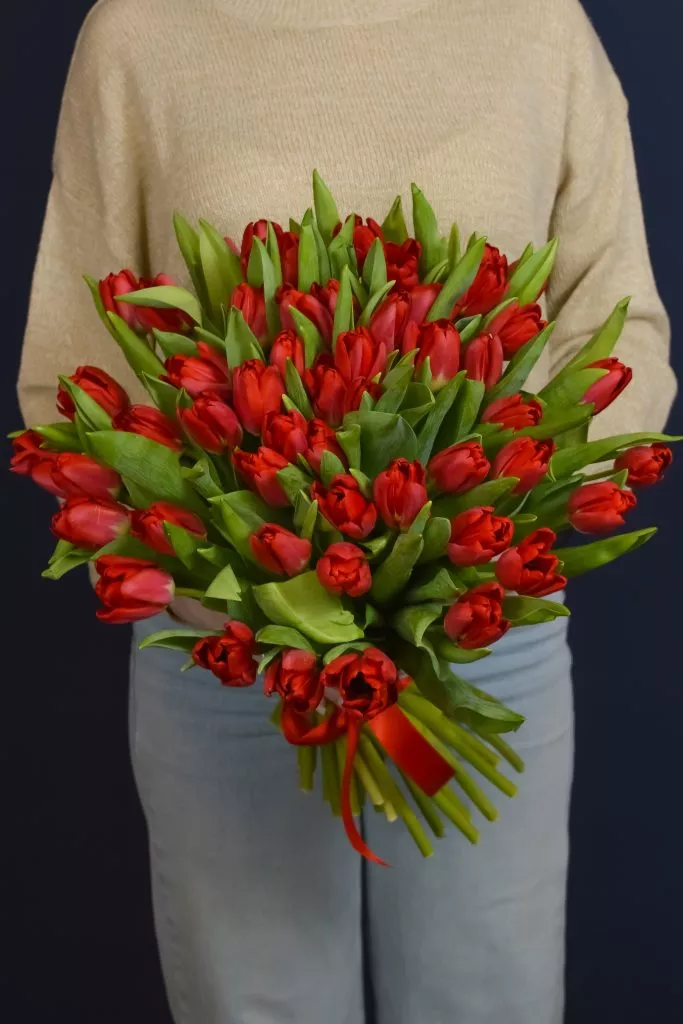 51 красный тюльпан