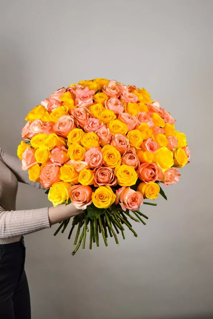 Розово-желтые розы Эквадор 101 шт