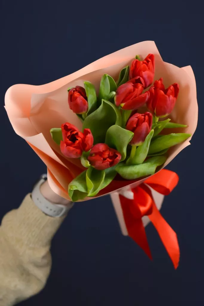 7 красных тюльпанов в упаковке