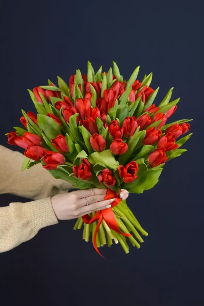 51 красный тюльпан