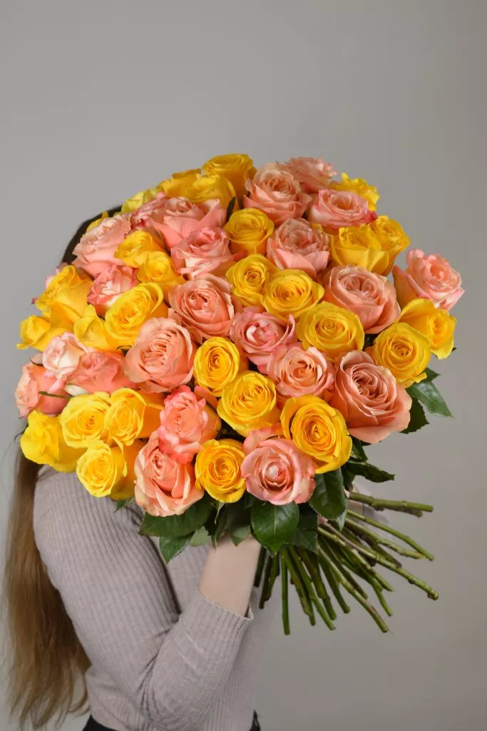 Розово-желтые розы Эквадор 51 шт