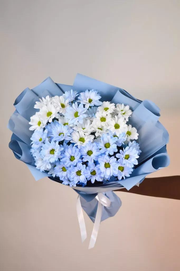 7 голубых хризантем кустовых