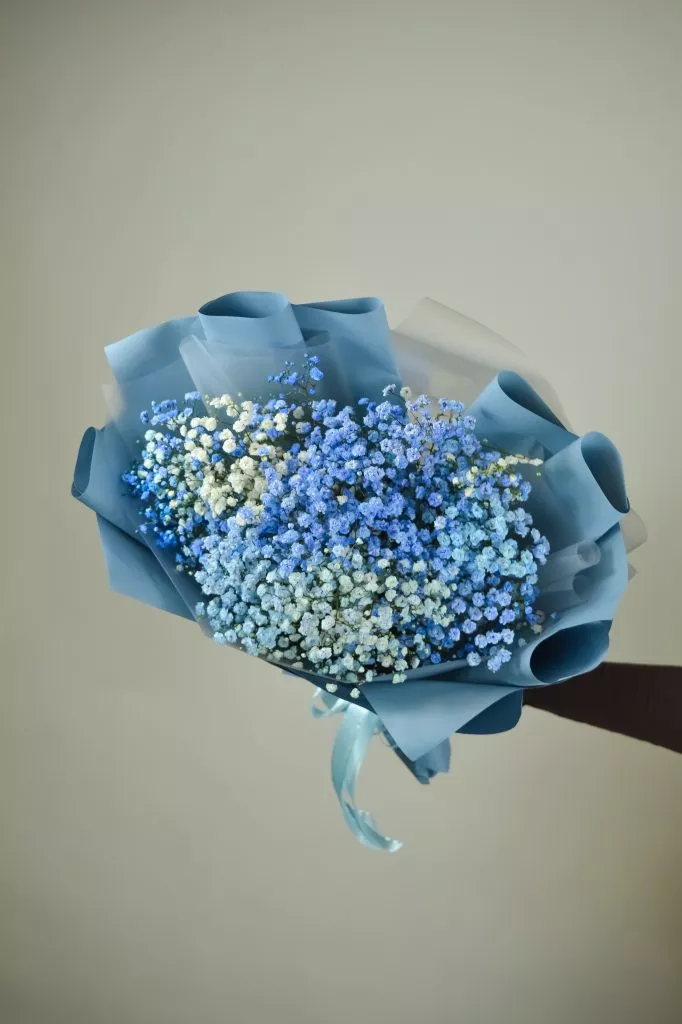 голубая гипсофила 5 шт