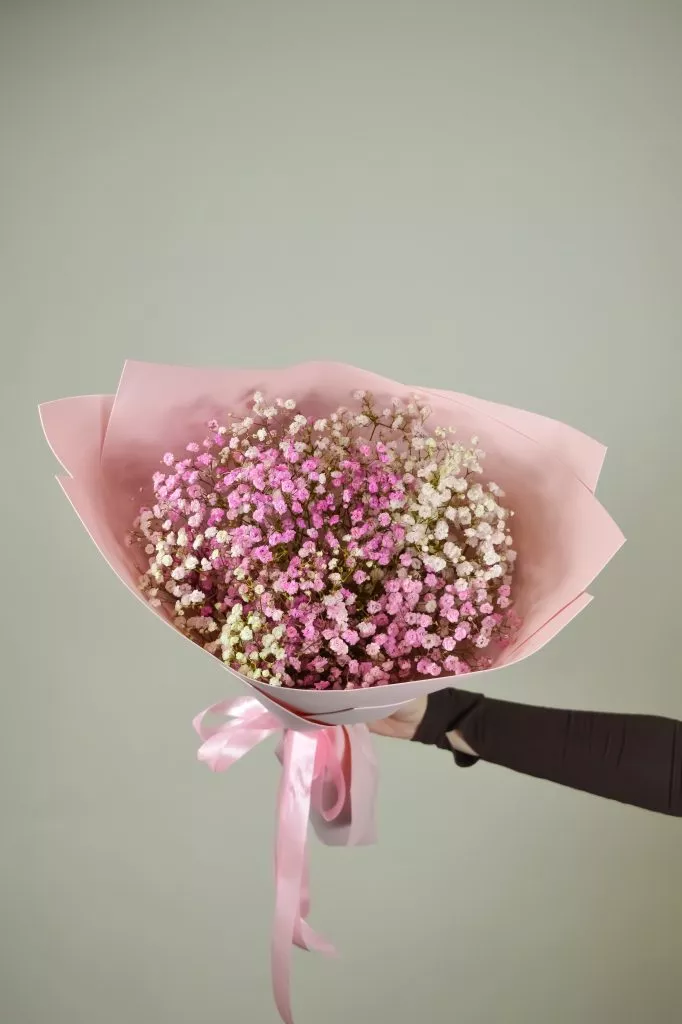 розовая гипсофила 7 шт