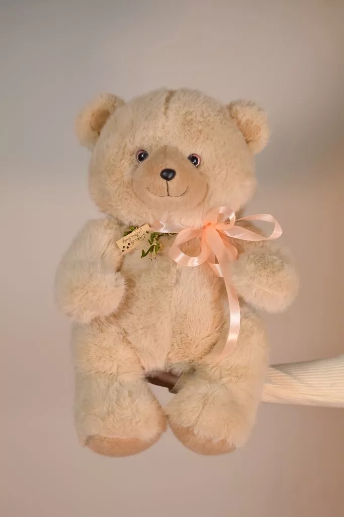 мягкая игрушка