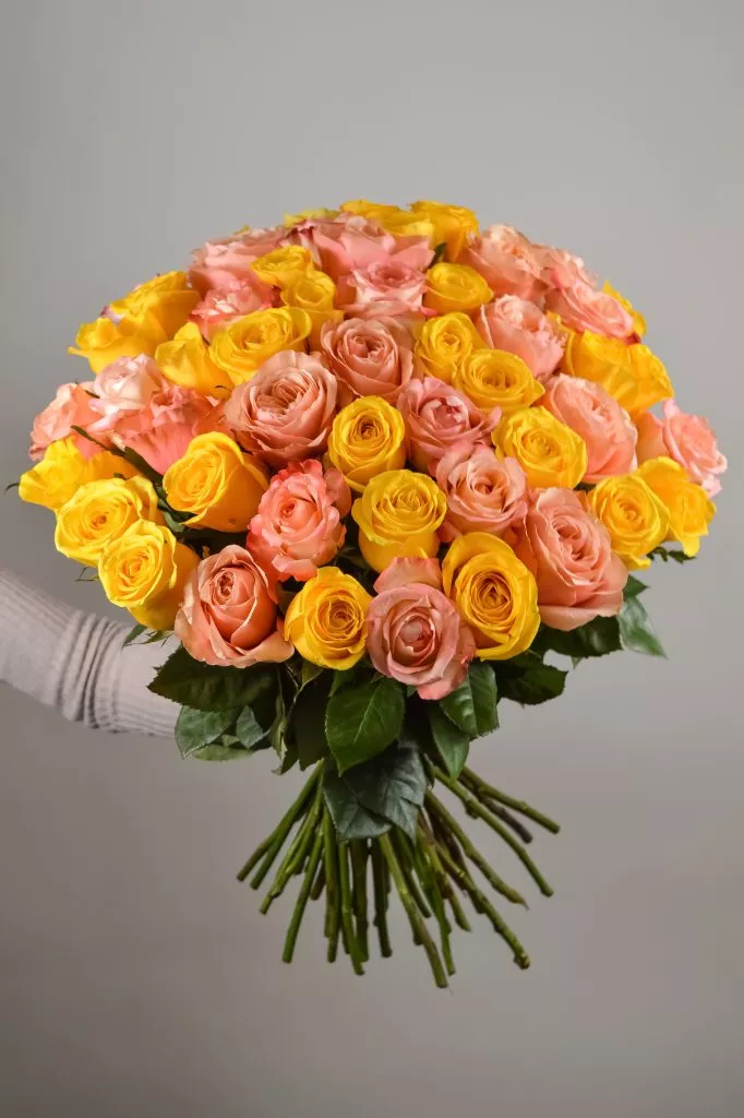 Розово-желтые розы Эквадор 51 шт
